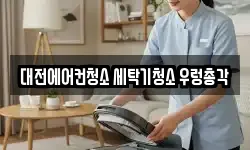 대전에어컨청소 세탁기청소 우렁총각