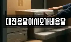 대전용달이사오가네용달