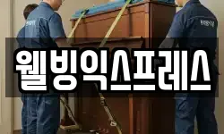 웰빙익스프레스