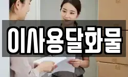 이사용달화물