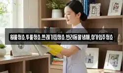 원룸청소.투룸청소.쓰레기집청소.반려동물냄새,상가입주청소