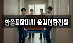한솔포장이사 송강신탄진점
