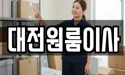 대전원룸이사