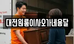 대전원룸이사오가네용달
