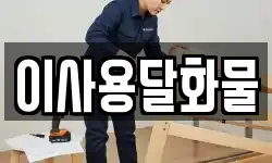이사용달화물