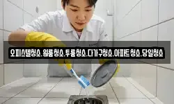 오피스텔청소.원룸청소.투룸청소.다가구청소.아파트청소.당일청소
