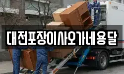 대전포장이사오가네용달