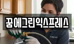 꿈에그린익스프레스