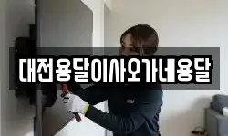 대전용달이사오가네용달