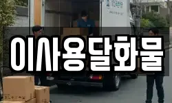 대전 유성구 대동 이사,용달이사,포장이사,원룸이사,보관이사