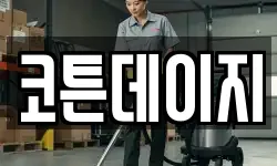 코튼데이지