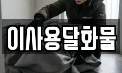 이사용달화물
