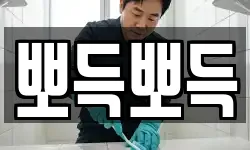 대전 유성구 덕명동 청소,입주청소,사무실청소,에어컨청소