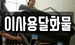 대전 유성구 덕명동 이사,용달이사,포장이사,원룸이사,보관이사