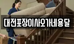 대전포장이사오가네용달