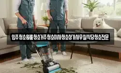 입주청소원룸청소거주청소이사청소상가사무실식당청소전문