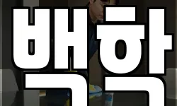 백학