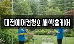 대전에어컨청소 새싹홈케어