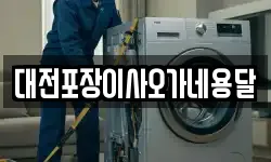 대전포장이사오가네용달