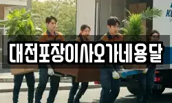 대전포장이사오가네용달