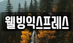 웰빙익스프레스