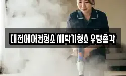 대전에어컨청소 세탁기청소 우렁총각