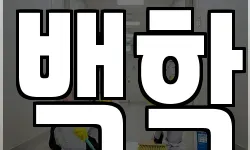 백학