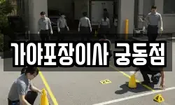 가야포장이사 궁동점