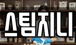스팀지니