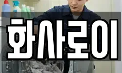 화사로이