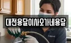 대전용달이사오가네용달