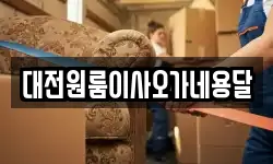 대전원룸이사오가네용달