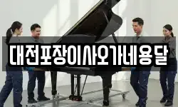 대전포장이사오가네용달