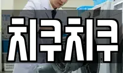 치쿠치쿠