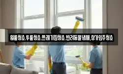 원룸청소.투룸청소.쓰레기집청소.반려동물냄새,상가입주청소
