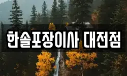 한솔포장이사 대전점
