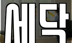 세닥