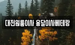 대전원룸이사 용달이사베테랑