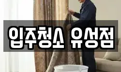 입주청소 유성점