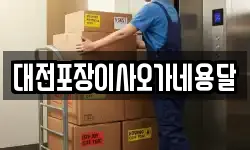 대전포장이사오가네용달