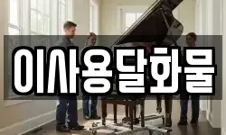 이사용달화물