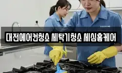 대전에어컨청소 세탁기청소 세심홈케어