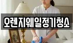 오렌지웨일정기청소