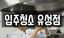 입주청소 유성점