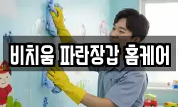 비치움 파란장갑 홈케어