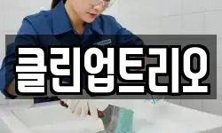 클린업트리오