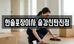 한솔포장이사 송강신탄진점