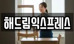 해드림익스프레스