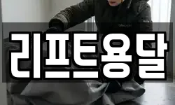 리프트용달