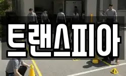 트랜스피아